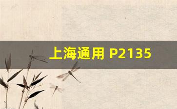 上海通用 P2135,汽车故障码长城 P2135